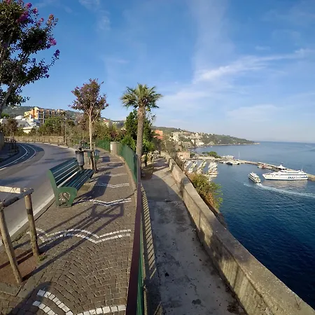 Flower بيت ضيافة سورينتو