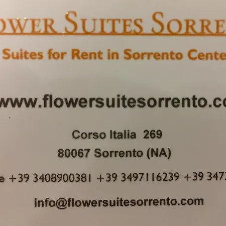 Flower سورينتو